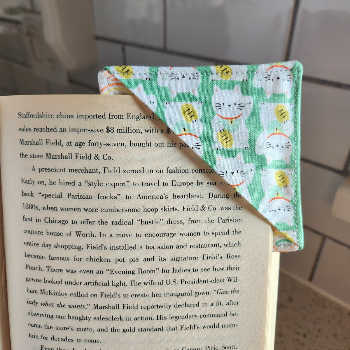 Money Cat Bookmark Corner